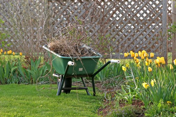 Flower Bed Cleanup Service in Rotonda West