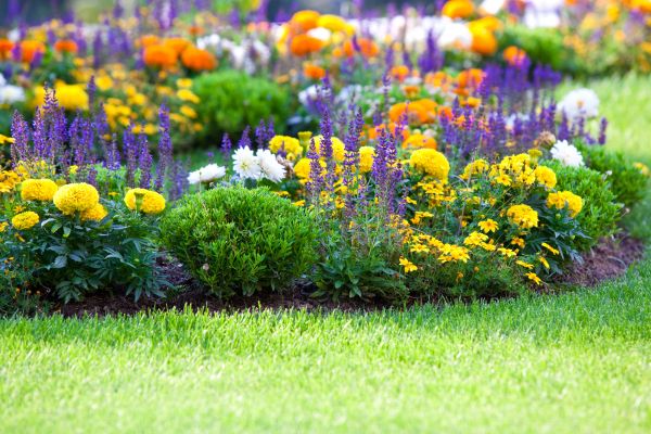 Flower Bed Maintenance in Rotonda West
