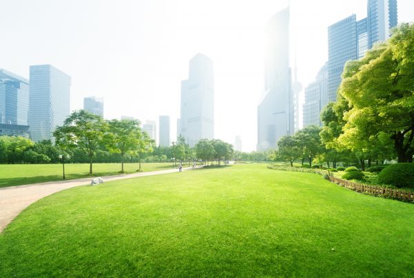 Commercial Landscape Maintenance in Rotonda West