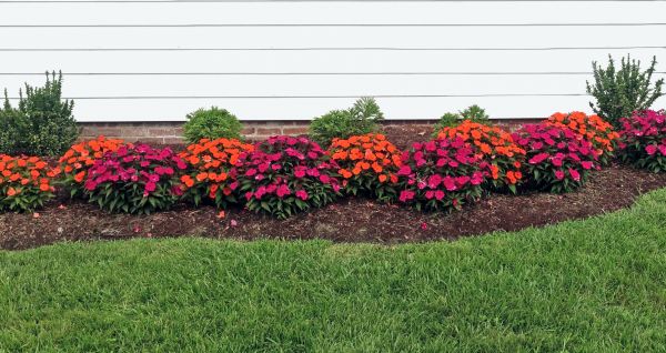 Flower Bed Weeding Service in Rotonda West