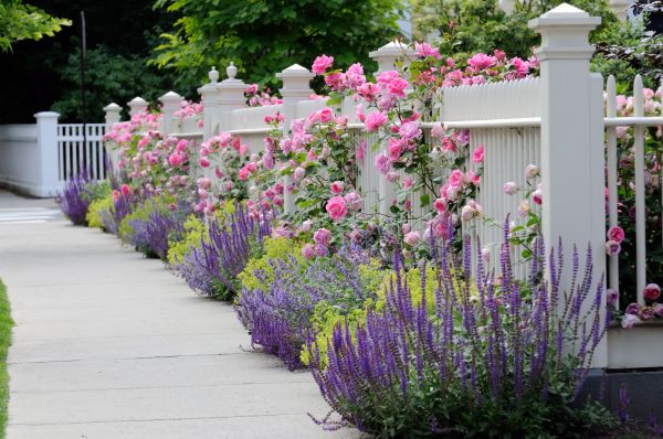 Garden Handyman Service in Rotonda West
