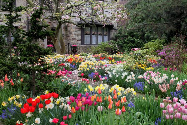 Garden Maintenance Service in Rotonda West