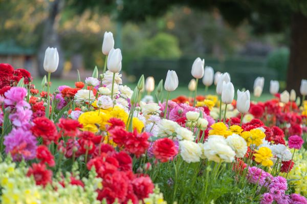 Gardening Service in Rotonda West