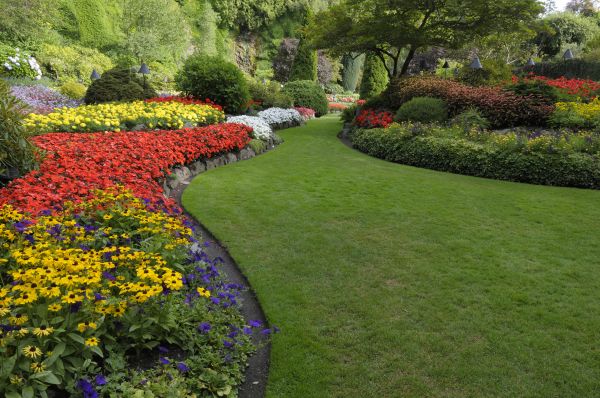 Landscaping Maintenance in Rotonda West