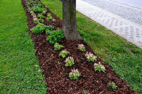 Mulch Replacement Service in Rotonda West