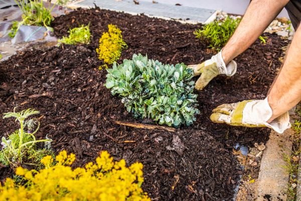 Weeding And Mulching in Rotonda West