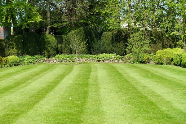 Lawn Renovation in Rotonda West