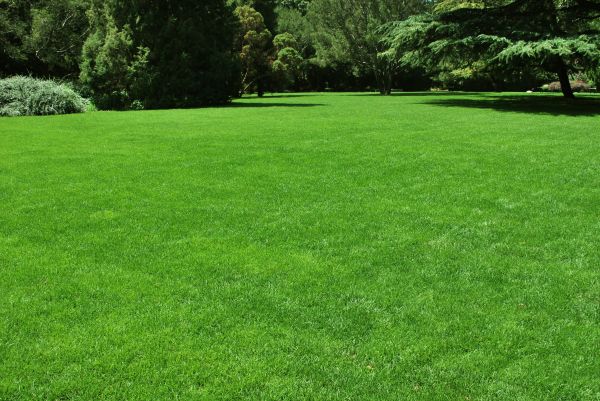 Lawn Landscaping in Rotonda West