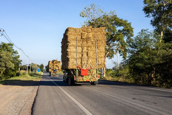 Pine Straw Delivery in Rotonda West