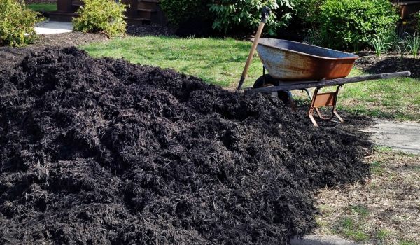 Black Mulch Delivery in Rotonda West