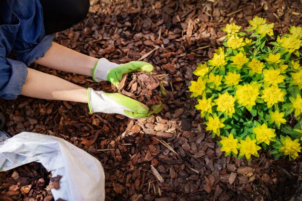 Garden Mulching in Rotonda West