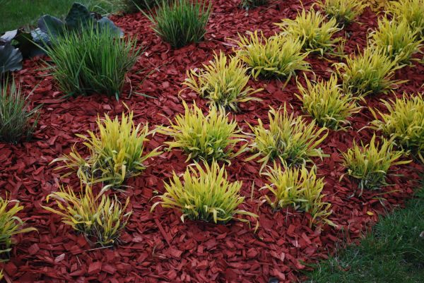 Mulch Landscaping in Rotonda West