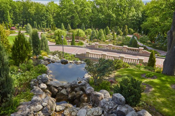 Landscape Architecture Service in Rotonda West