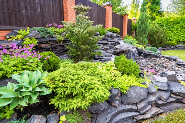 Landscape Remodeling in Rotonda West