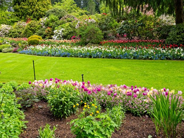 Residential Landscape Design in Rotonda West