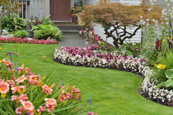 Perennial Landscaping in Rotonda West