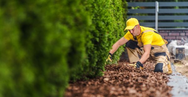 Cypress Mulch Installation in Rotonda West