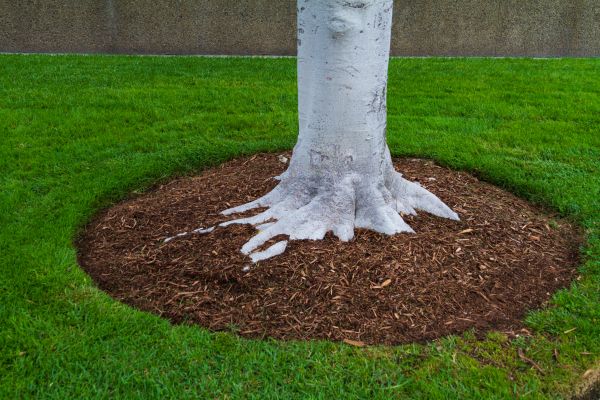 Brown Mulch Installation in Rotonda West