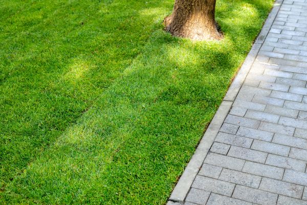 Border Stone Installation in Rotonda West