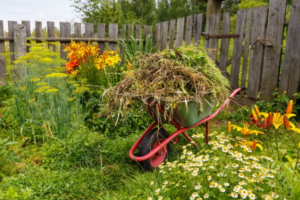 Garden Cleanup Service in Rotonda West