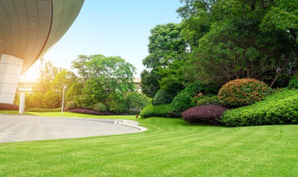 Business Landscape Design in Rotonda West
