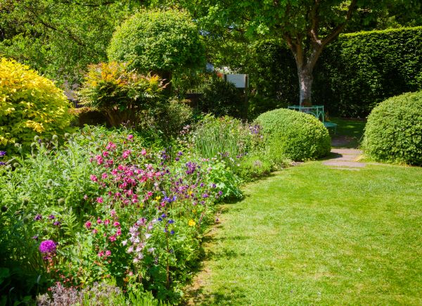 Yard Landscaping Service in Rotonda West