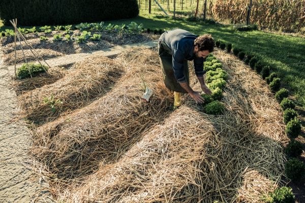 Straw Mulching Service in Rotonda West