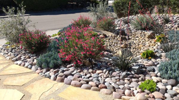 Xeriscape Landscaping in Rotonda West
