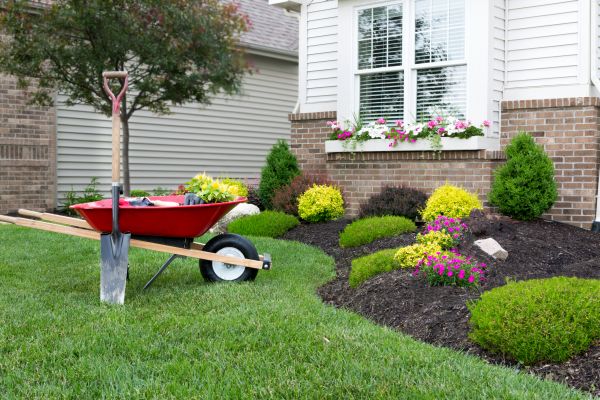 Tree And Shrub Planting in Rotonda West