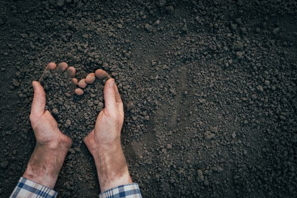Soil Installation in Rotonda West
