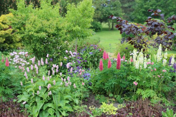 Flower Bed Planting in Rotonda West