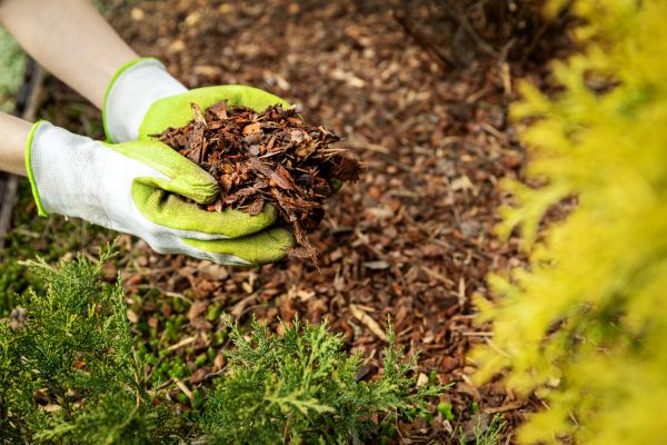 Garden Mulch Delivery in Rotonda West