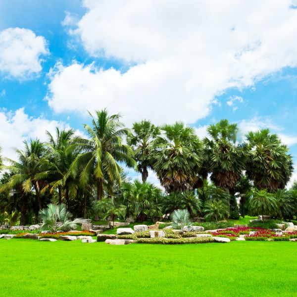 Tropical Landscaping in Rotonda West
