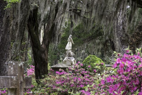 Cemetery Landscaping in Rotonda West