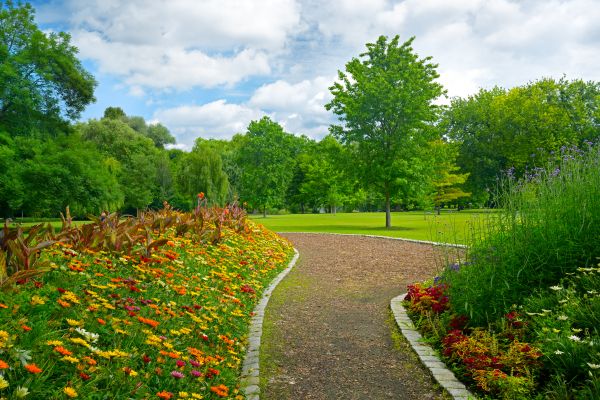 Park Landscaping in Rotonda West