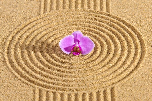 Sand Garden Landscaping in Rotonda West