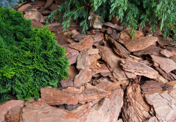 Pine Bark Installation in Rotonda West