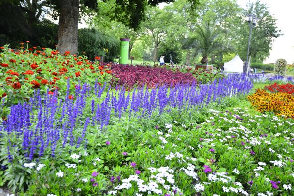 Perennials Planting in Rotonda West