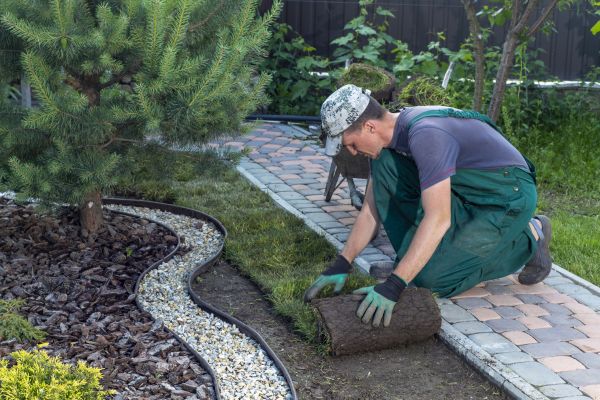 Landscaping Modification in Rotonda West