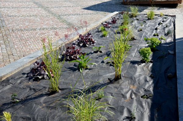 Landscape Fabric Installation in Rotonda West