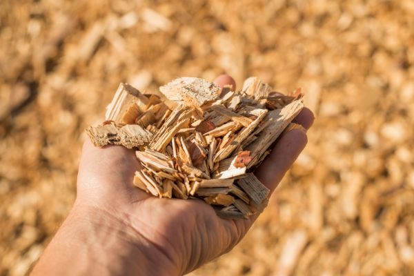 Wood Chips Spreading in Rotonda West