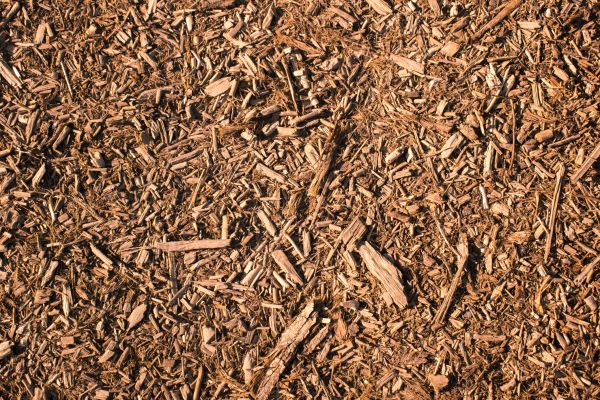 Wood Chips Removal in Rotonda West