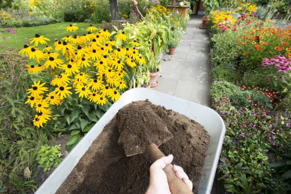 Topsoil Replacement in Rotonda West