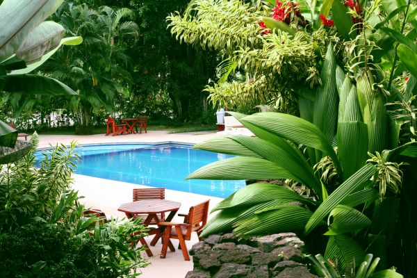 Pool Area Landscaping in Rotonda West