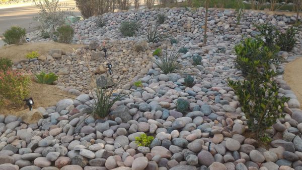 Yard Xeriscaping in Rotonda West