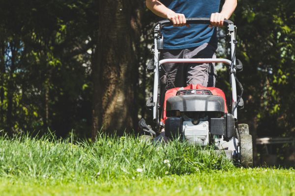 Garden Trimming Service in Rotonda West