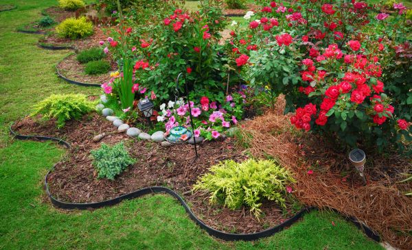 Floral Landscaping in Rotonda West