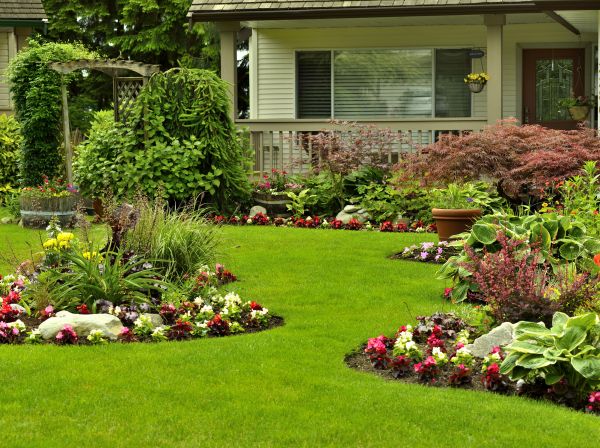 Flower Garden Planting in Rotonda West