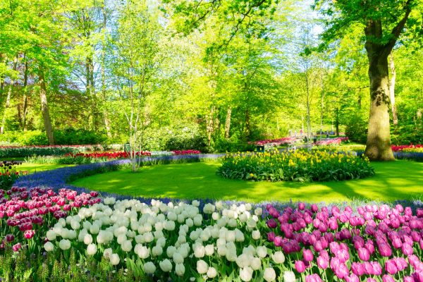 Flower Landscaping in Rotonda West