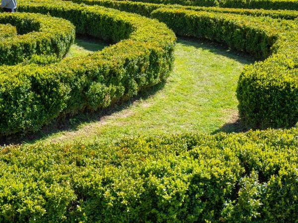 Bush Landscaping in Rotonda West